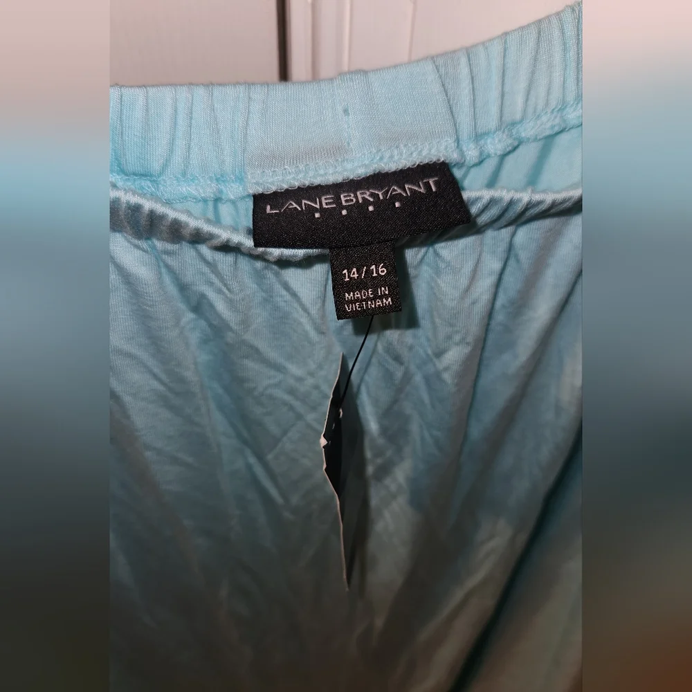 LANE BRYANT DRESS - Picture 4 of 5